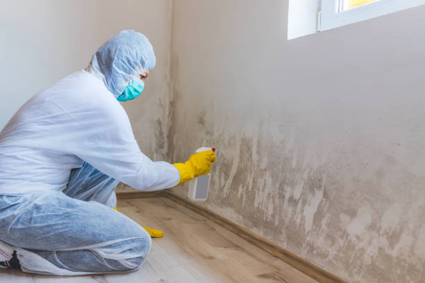 Licensed Hvac And Air Duct Mold Remediation service in Henrico, NC - Mold Remediation HQ
